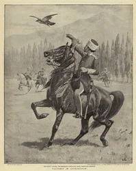 Cetrería en Afganistán